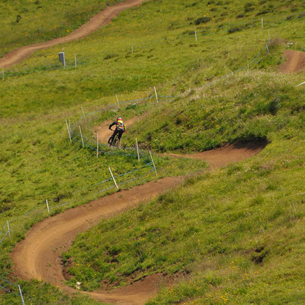 Bike auf Bikehalterung